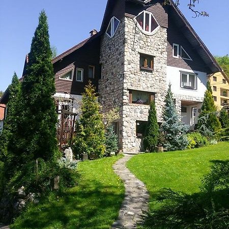 Rîşnov Pension Casa Contelui מראה חיצוני תמונה