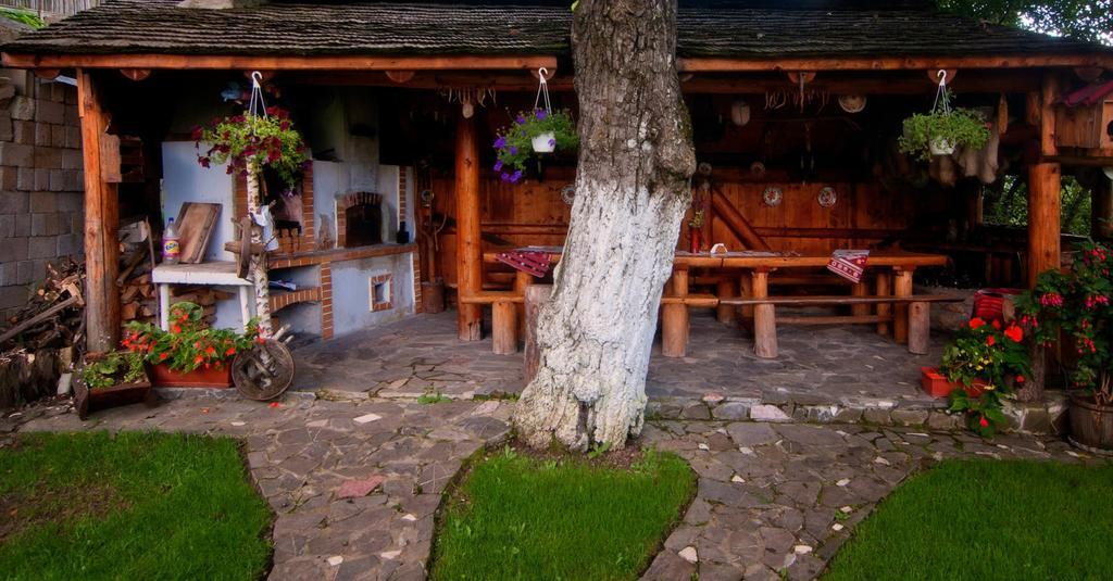 Rîşnov Pension Casa Contelui מראה חיצוני תמונה
