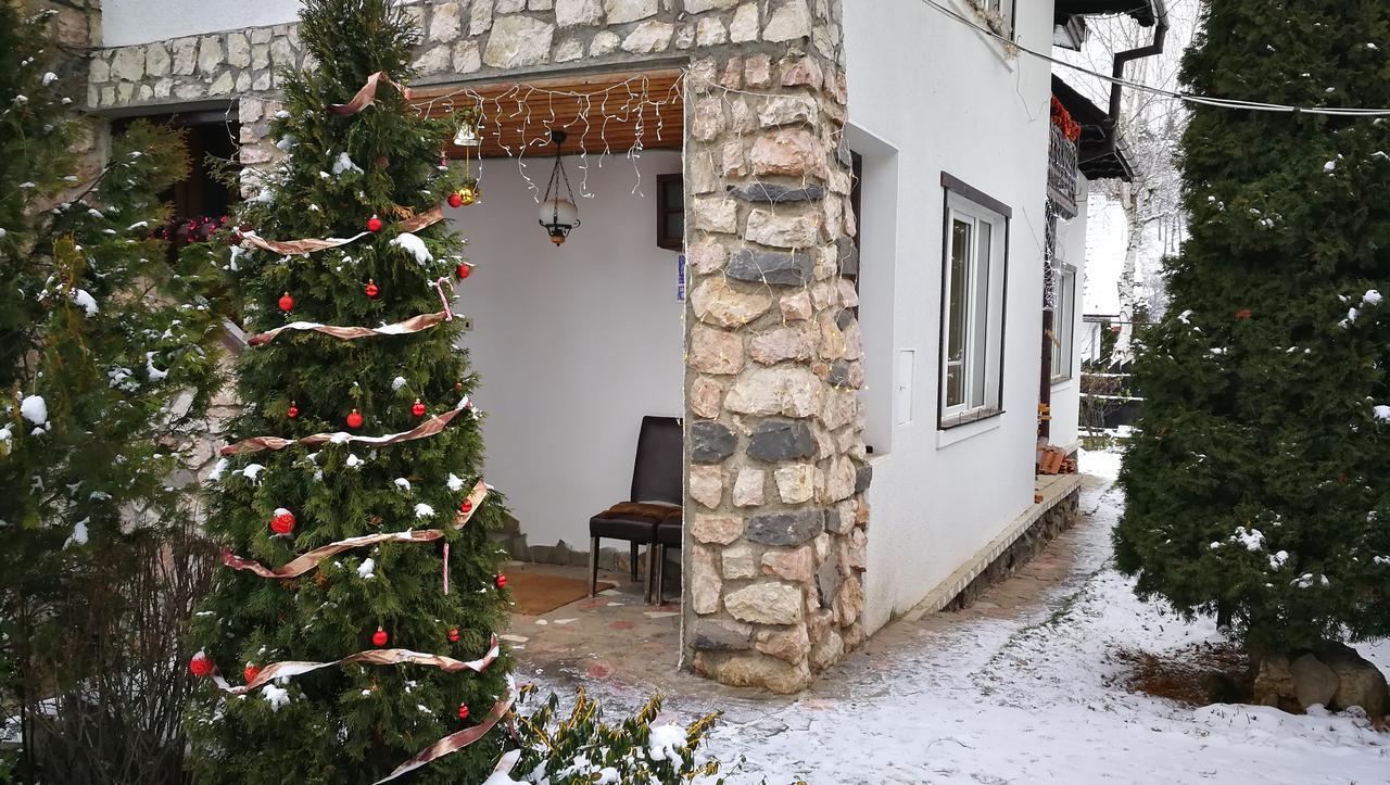 Rîşnov Pension Casa Contelui מראה חיצוני תמונה