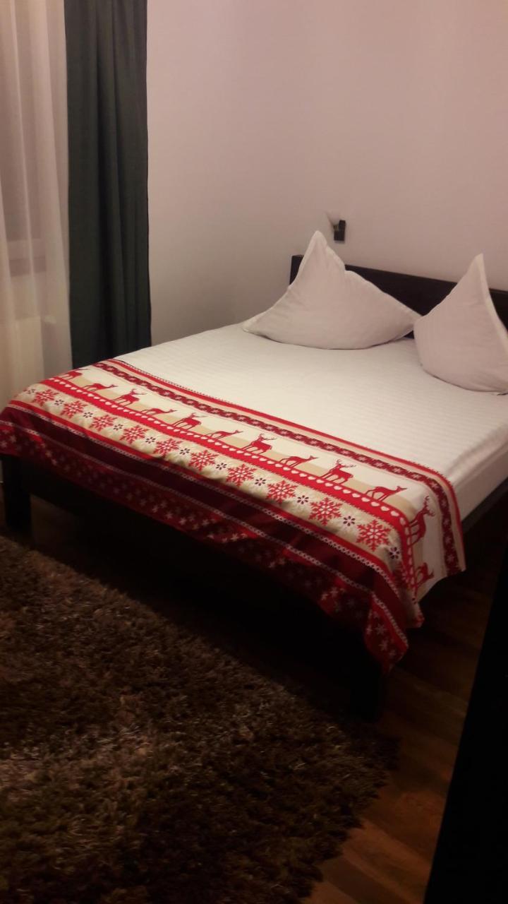 Rîşnov Pension Casa Contelui מראה חיצוני תמונה